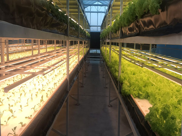 大棚種植恒溫養殖