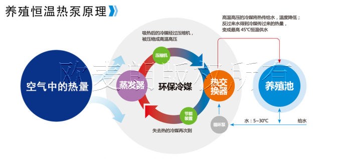 蜂蜜瀏覽器_2.jpg 蜂蜜瀏覽器_2.jpg