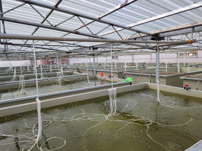 蜂蜜瀏覽器_4.jpg 蜂蜜瀏覽器_4.jpg