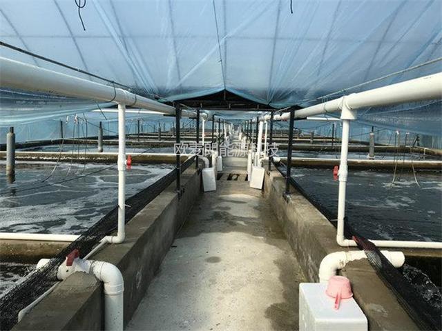 2024110409123718.jpg 2024110409123718.jpg