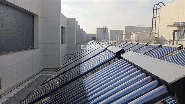 微信圖片_20241210074523.jpg 微信圖片_20241210074523.jpg