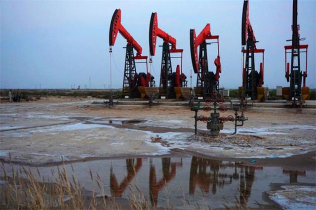 圖片11.jpg 圖片11.jpg