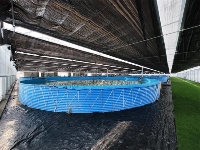 圖片1.jpg1.jpg 圖片1.jpg1.jpg