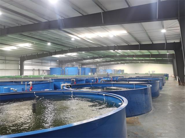 圖片1.jpg5.jpg 圖片1.jpg5.jpg