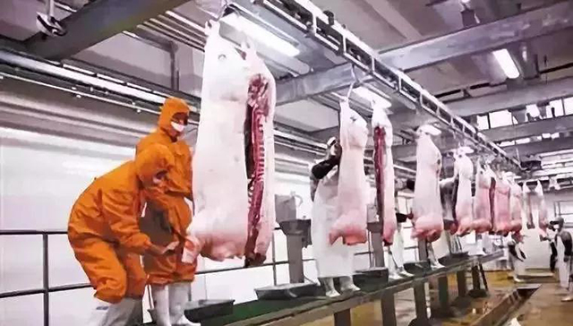 圖片2.jpg 圖片2.jpg