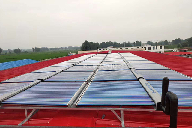 圖片3.jpg 圖片3.jpg