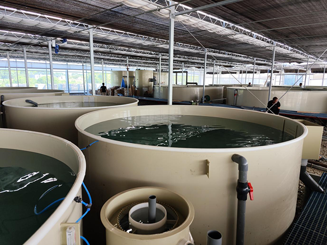 圖片1.png 圖片1.png