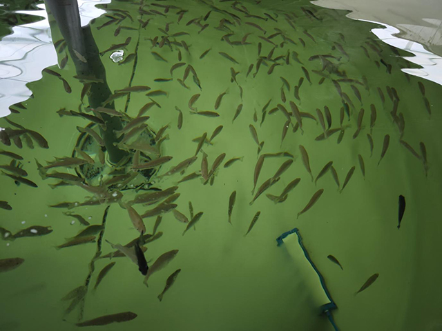 圖片2.jpg 圖片2.jpg