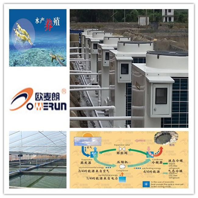 水產養殖拼圖.jpg 水產養殖拼圖.jpg